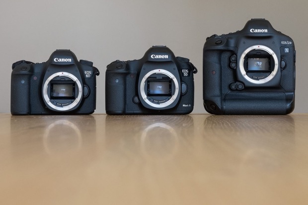 The Canon EOS6D, EOS5D MkIII and the EOS1DX